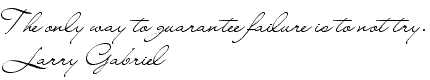 The only way to guarantee failure is to not try. Larry Gabriel