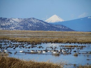 Klamath Basin 300x225 Pacific Northwests Klamath Basin a Possible Site for Geothermal Energy Plant